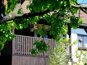 Prodej chalupy, Stříbrnice, 90 m2