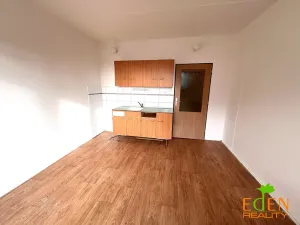 Pronájem bytu 1+kk, Plzeň, Dlouhá, 20 m2