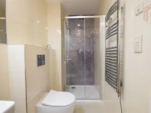 Pronájem bytu 1+kk, Praha - Vinohrady, Záhřebská, 50 m2