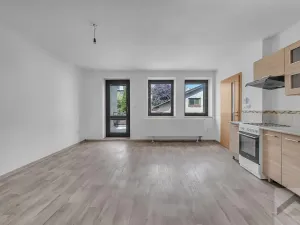 Prodej komerční nemovitosti, Litomyšl, Havlíčkova, 295 m2