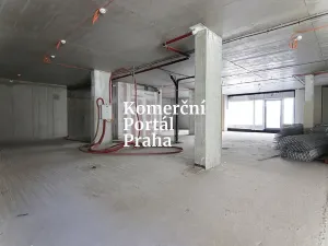 Pronájem restaurace, Praha - Nusle, Lomnického, 470 m2
