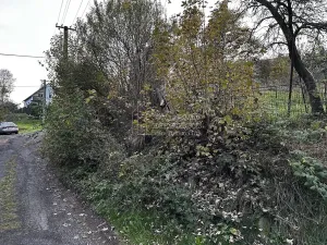 Prodej pozemku pro bydlení, Klášterec nad Ohří, 594 m2