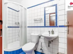 Pronájem ubytování, Nový Šaldorf-Sedlešovice, Na Staré cestě, 176 m2