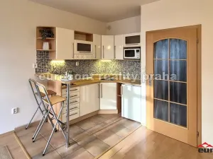 Pronájem bytu 1+kk, Praha - Vršovice, Přípotoční, 29 m2