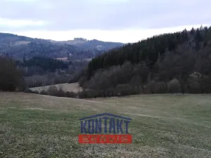 Prodej lesa, Lužná, 13657 m2