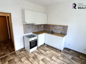 Pronájem bytu 1+1, Sokolov, Karla Havlíčka Borovského, 42 m2