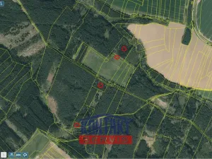 Prodej lesa, Bečice, 23812 m2