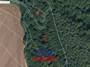 Prodej lesa, Bečice, 23812 m2