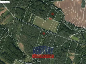 Prodej lesa, Bečice, 23812 m2