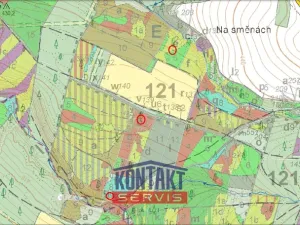 Prodej lesa, Bečice, 23812 m2