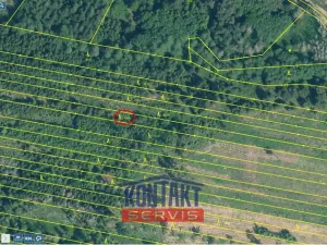 Prodej lesa, Jickovice, 32955 m2