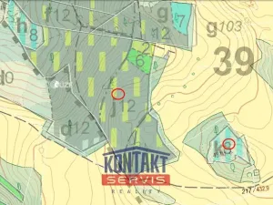 Prodej lesa, Jickovice, 32955 m2