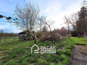 Prodej rodinného domu, Týn nad Bečvou, Smetanova, 150 m2