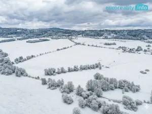 Prodej pole, Mariánské Lázně, 112367 m2