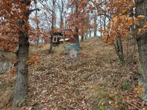 Prodej chaty, Újezd nade Mží, 25 m2