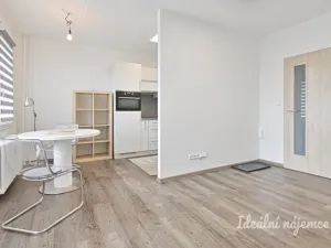 Pronájem bytu 2+kk, Brno, Bosonožská, 42 m2