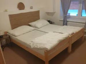 Prodej rodinného domu, Bílá Lhota - Hradečná, 250 m2