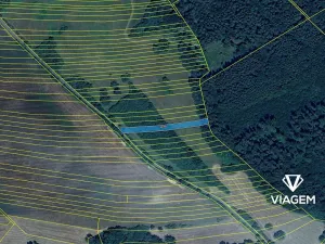 Prodej podílu pole, Javorník, 1675 m2