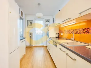 Prodej bytu 3+kk, Borek, Družstevní, 67 m2