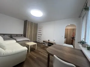 Pronájem bytu 1+kk, Hradec Králové, Severní, 27 m2