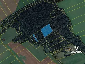 Prodej lesa, Chodská Lhota, 5730 m2