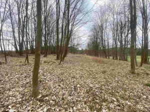 Prodej pozemku, Žinkovy, 4100 m2