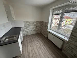 Pronájem bytu 1+1, Most, Lesní, 30 m2