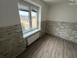 Pronájem bytu 1+1, Most, Lesní, 30 m2