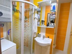 Pronájem bytu 1+1, Sokolov, Švabinského, 39 m2