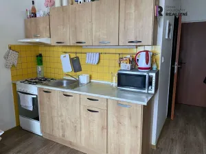 Pronájem bytu 1+1, Sokolov, Švabinského, 39 m2