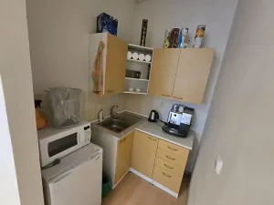 Pronájem výrobních prostor, Brno, Franzova, 785 m2