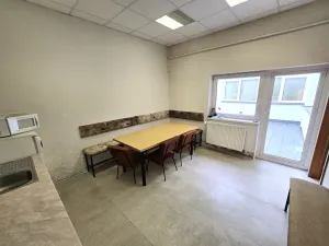 Pronájem výrobních prostor, Brno, Franzova, 785 m2