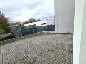 Pronájem výrobních prostor, Brno, Franzova, 785 m2