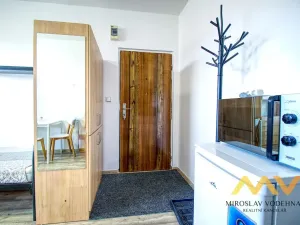 Pronájem bytu 1+kk, Hradec Králové - Nový Hradec Králové, Brožíkova, 22 m2