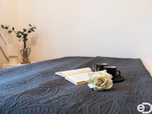 Prodej bytu 2+kk, Borohrádek, Družstevní, 31 m2