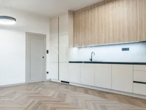 Pronájem bytu 3+kk, Ostrava, Nádražní, 64 m2