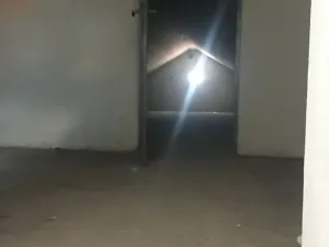 Prodej komerční nemovitosti, Křečhoř, 433 m2