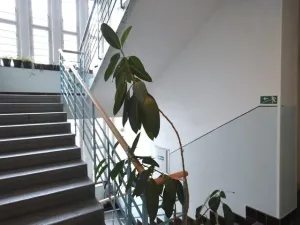 Pronájem bytu 2+kk, Praha - Žižkov, Biskupcova, 57 m2