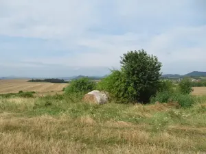 Dražba zahrady, Ploskovice, 23378 m2