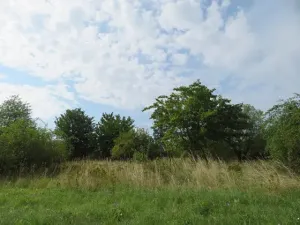 Dražba zahrady, Ploskovice, 23378 m2