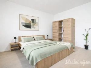 Pronájem bytu 1+1, Brno - Židenice, Bubeníčkova, 25 m2