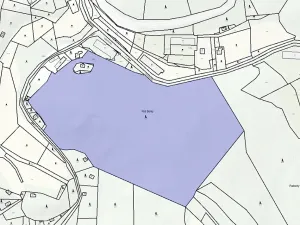 Prodej lesa, Kuřimská Nová Ves, 59760 m2