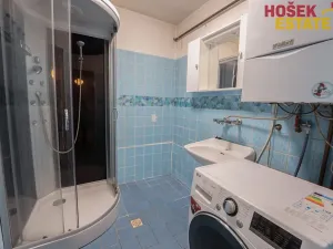 Pronájem rodinného domu, Brno, Bosonožské náměstí, 220 m2