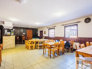 Prodej restaurace, Mnichovice, Potočiny, 110 m2