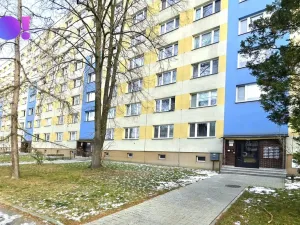 Prodej bytu 2+1, Karviná - Hranice, Kašparova, 56 m2