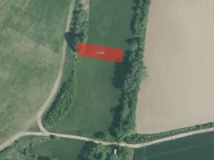 Prodej pole, Pacetluky, 15640 m2