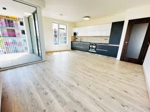 Pronájem bytu 2+kk, Ostrava - Moravská Ostrava, F. X. Riepla, 60 m2