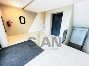 Pronájem bytu 2+kk, Ostrava - Moravská Ostrava, F. X. Riepla, 60 m2