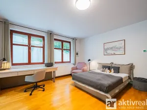 Pronájem bytu 5+kk, Praha - Vinohrady, Perucká, 180 m2