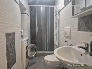 Pronájem bytu 1+kk, Praha - Vinohrady, Francouzská, 60 m2